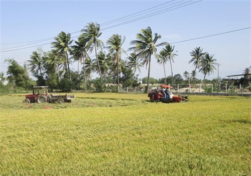 Thúc đẩy hợp tác nông nghiệp giữa Việt Nam và Liên minh châu Âu
