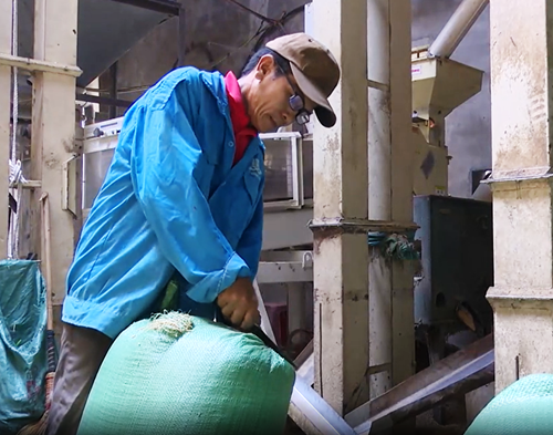 Dự trữ 100 tấn gạo phục vụ cứu trợ khi có thiên tai, bão lụt