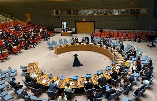 Ecuador, Nhật Bản, Malta, Mozambique và Thụy Sĩ được bầu vào Hội đồng Bảo an Liên Hiệp quốc