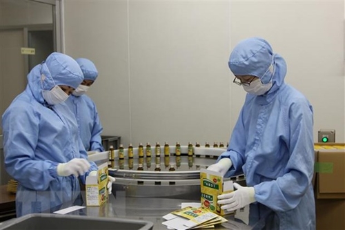 Tiềm năng lớn của dược liệu Việt Nam tại thị trường Nhật Bản