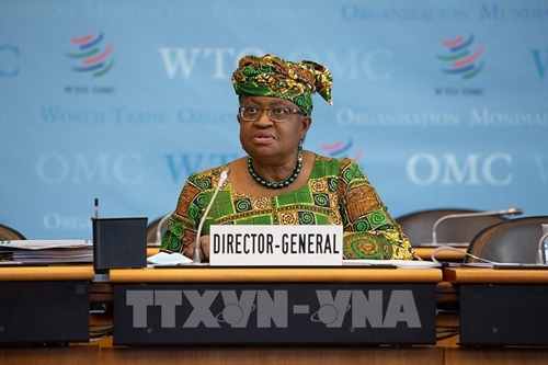 Hội nghị Bộ trưởng WTO Chuyển đổi sang “thương mại xanh” là việc cấp thiết