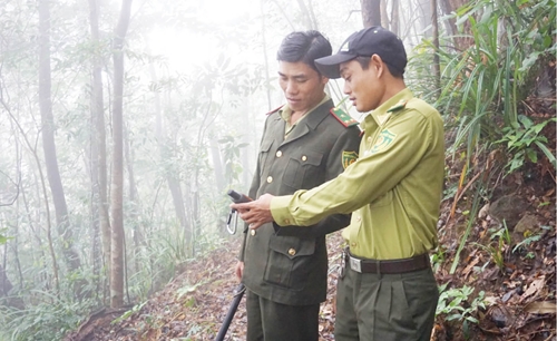 Giao rừng tự nhiên cho cộng đồng quản lý Hạn chế phá rừng
