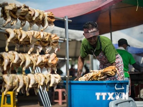 Singapore có nguồn cung thịt gà mới - Indonesia