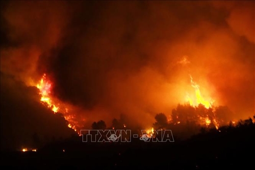 Cháy rừng tiếp tục hoành hành tại Pháp và Tây Ban Nha