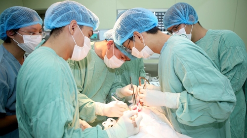 The second successful renal autotransplant in Hue