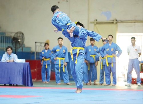 Vovinam Potential and position