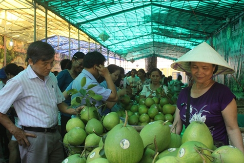 Thuy Bieu’s Thanh Tra Pomelo Festival 2022 from Sep 1-4