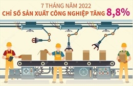 7 tháng năm 2022, chỉ số sản xuất công nghiệp tăng 8,8
