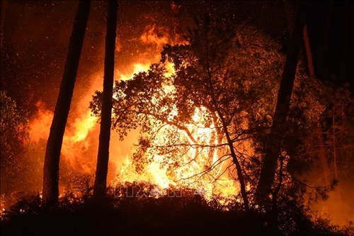 Pháp kiểm soát cháy rừng ở phía Tây Nam, mở lại đường cao tốc