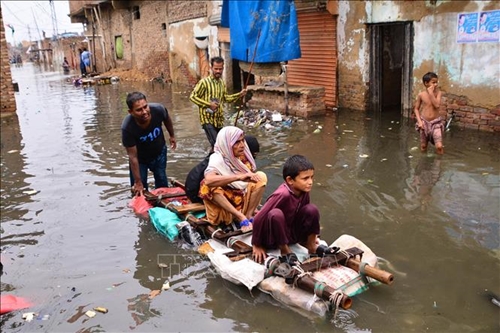 Lũ lụt ở Pakistan gây thiệt hại lên đến 10 tỷ USD