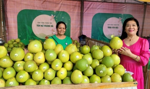 The 7th Hue Thanh tra grapefruit Festival launched