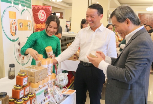 Many activities at the investment promotion and trade connection festival