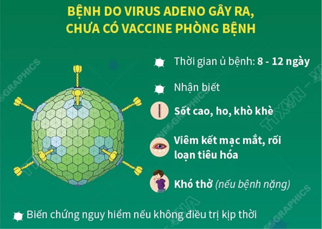 Thời Gian Ủ Bệnh Adenovirus