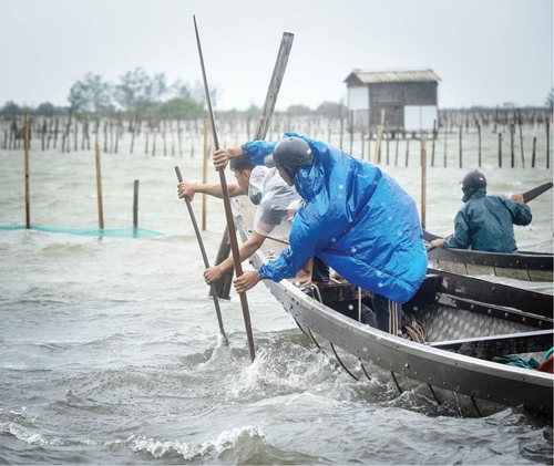 Harvesting sea products before rainy season