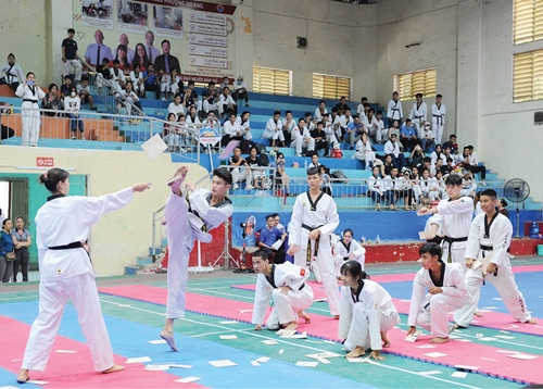 Taekwondo theo đuổi giấc mơ vàng