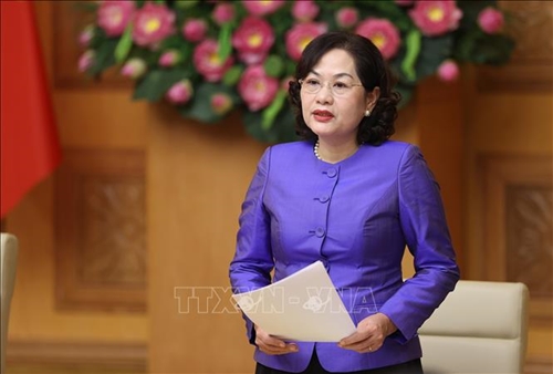 Thống đốc Nguyễn Thị Hồng Giảm lãi suất còn gặp nhiều khó khăn
