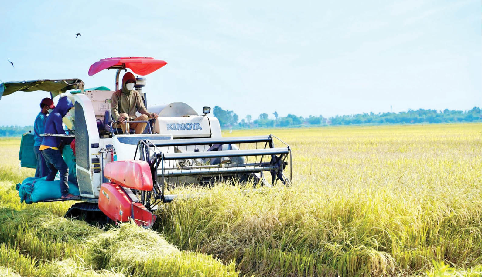 Hương Thủy: Chú trọng nông nghiệp bền vững