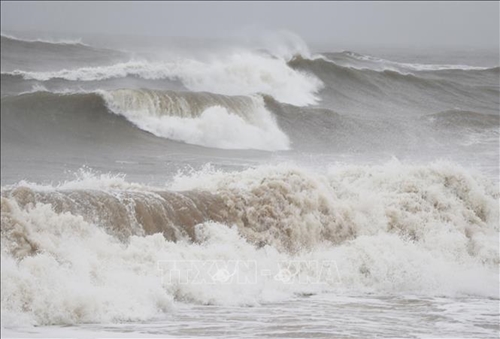 Các tỉnh từ Quảng Ninh đến Bình Định chủ động ứng phó với gió mạnh trên biển