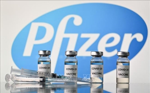 Pfizer – BioNTech thử nghiệm vaccine kết hợp phòng COVID-19 và cúm mùa