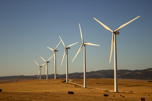 UAE và Ai Cập hợp tác xây dựng một trong những trang trại điện gió lớn nhất thế giới