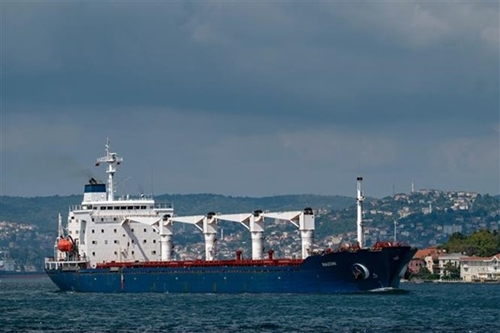 LHQ hoan nghênh việc gia hạn thỏa thuận xuất khẩu ngũ cốc Biển Đen
