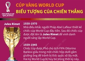 Cúp vàng World Cup - biểu tượng của chiến thắng