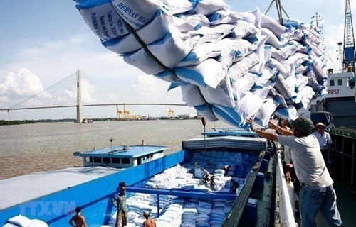 Xuất khẩu gạo của cả nước có thể đạt 7 triệu tấn trong năm nay