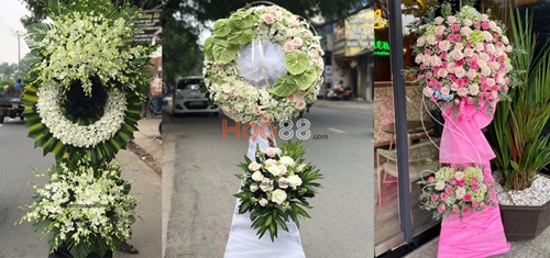 Hoa88 com - Cửa hàng hoa tươi uy tín tại Huế