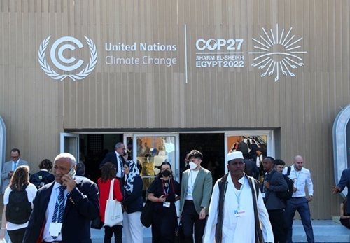 Những đóng góp và lợi ích của Ai Cập tại Hội nghị COP27