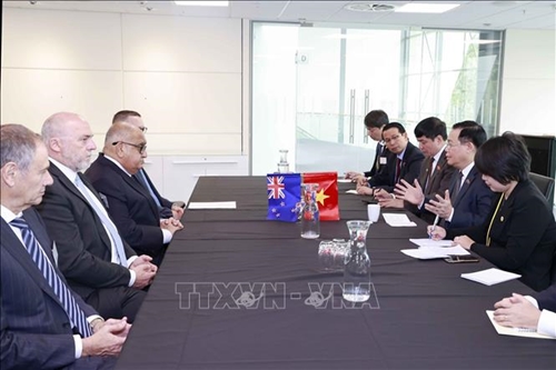Việt Nam thúc đẩy hợp tác đào tạo, phát triển nguồn nhân lực với New Zealand