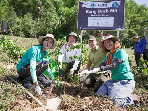 Celebrities and beauty queens participate in afforestation