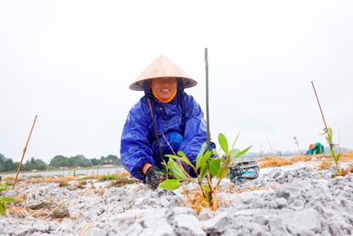 Local people grow indigenous forest under the rain