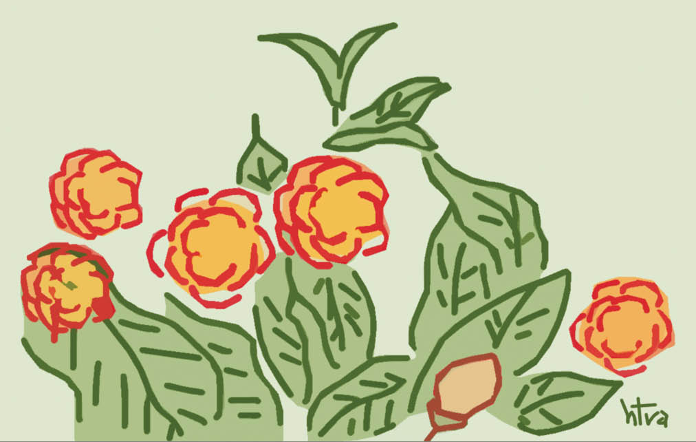 Chia sẻ 106 hình nền hoa hải đường hay nhất  Tin học Đông Hòa