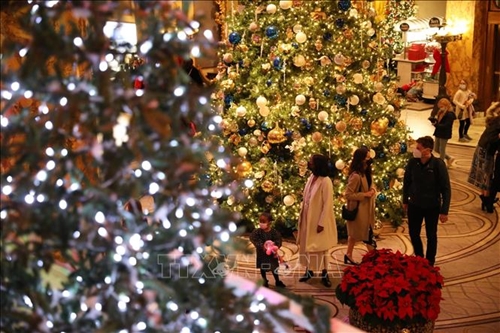 Cây thông Noel vẫn đắt hàng tại Mỹ bất chấp lạm phát