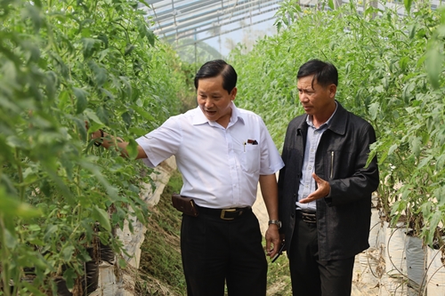 Thua Thien Hue promotes businesses’ green growth