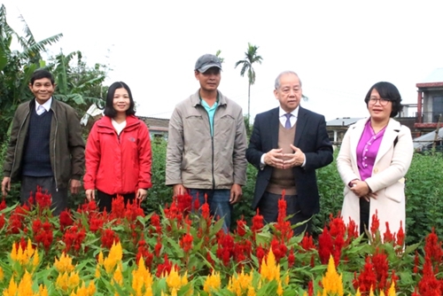 Tháo gỡ khó khăn để người dân Phú Mậu giàu lên từ trồng hoa