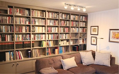 Home library - the perfect space for book lovers