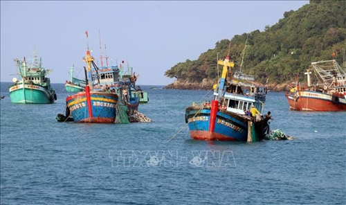 Đồng loạt thực hiện chống khai thác hải sản bất hợp pháp